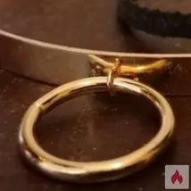 Herr sucht seine Sklavin und Hure 