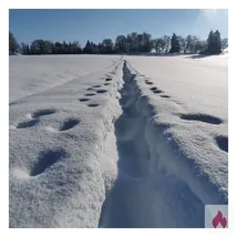 Suche eine Frau für NS oder was sonst noch Spaß macht 