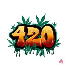 - 420 - Kifferpartnerin gesucht