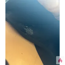 Ich such Frau für sextreffeb